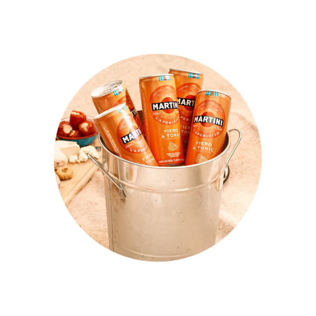 Martini Fiero and Tonic Cocktail in a Can Martini Rossi