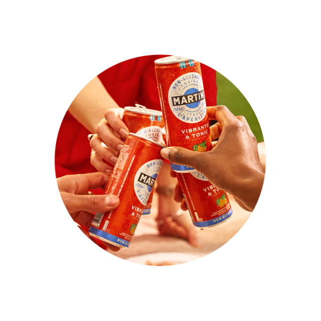 Martini Vibrante & Tonic Nonalcoholic Cocktail in a Can Martini Rossi